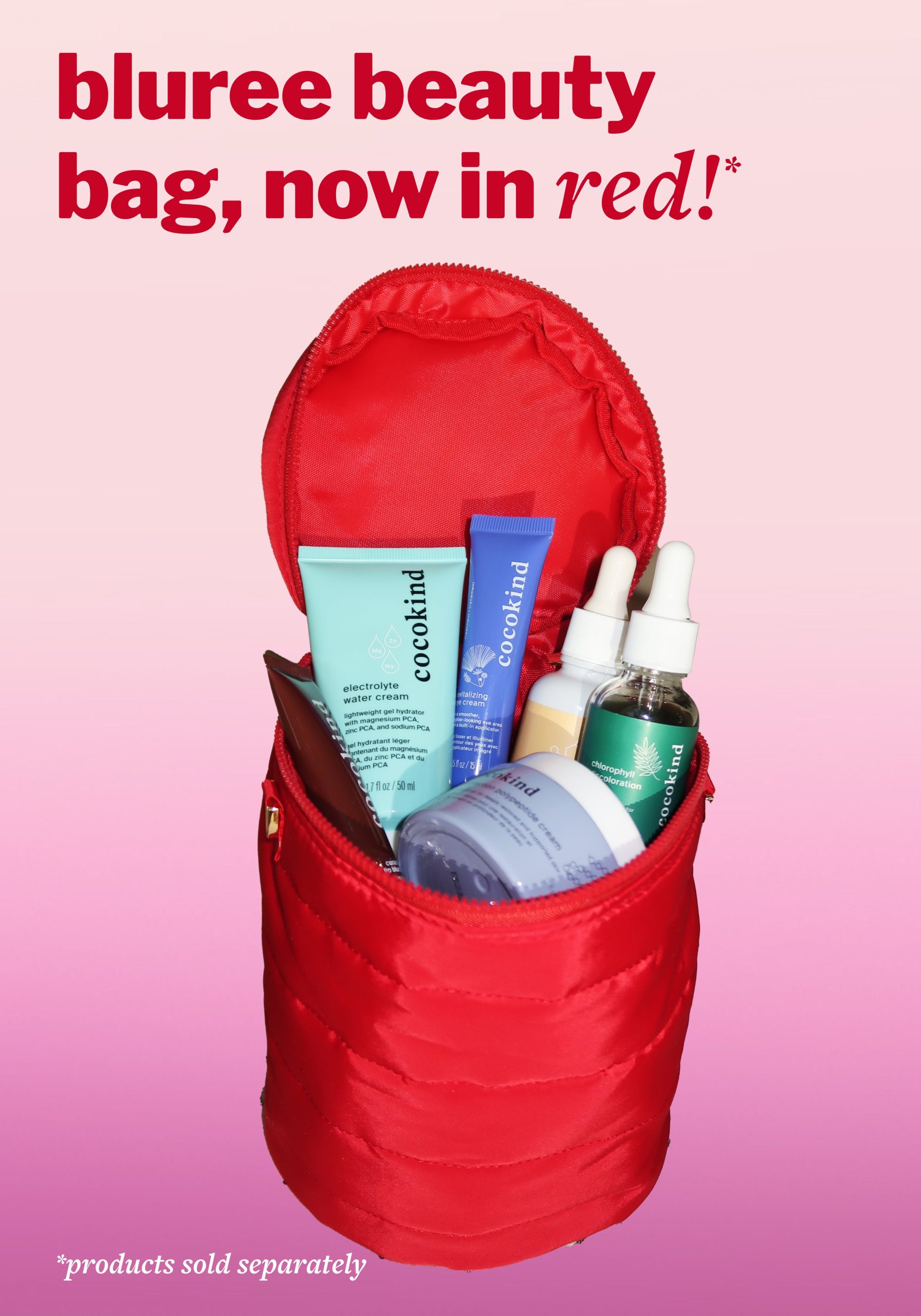 sm-image-e75d343b2aa9e65688bb36a4 bluree beauty bag